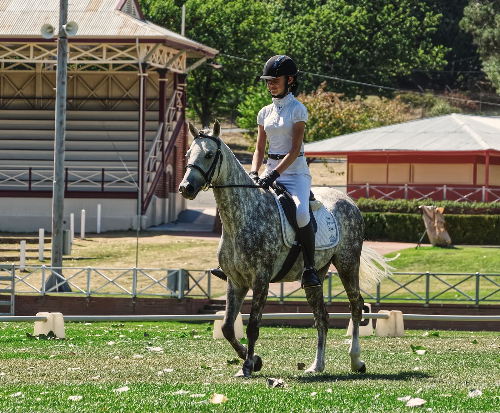 Une femme en tenue d'équitation montant un cheval gris dans une arène extérieure par une journée ensoleillée.