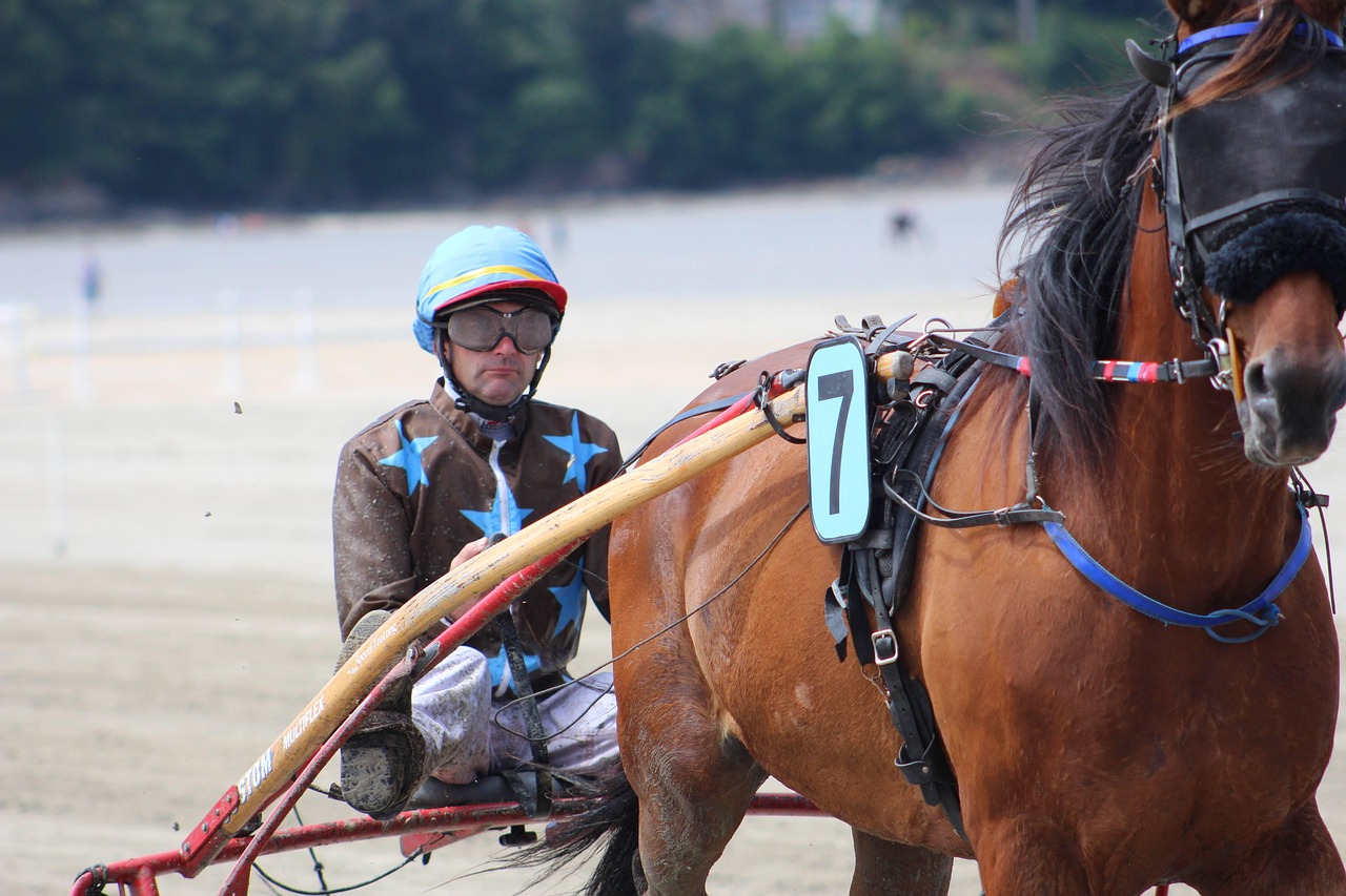 Bien s’y retrouver dans l’univers Sports & Loisirs : le guide